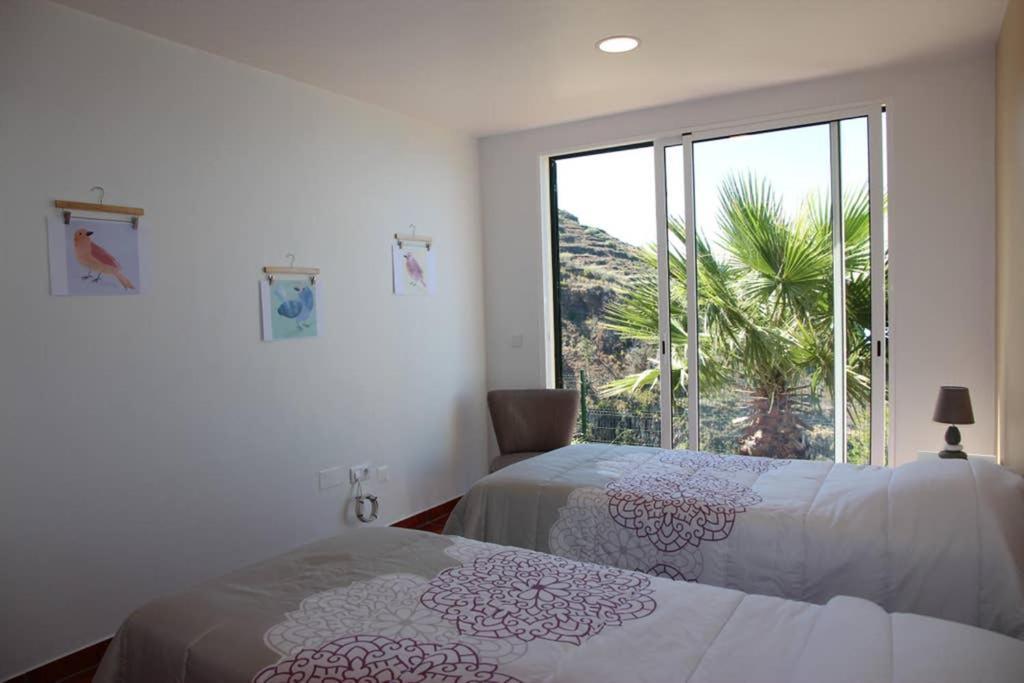 Apartamento Mar Azul Daire Calheta  Dış mekan fotoğraf